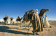 International festival of the Sahara of Douz