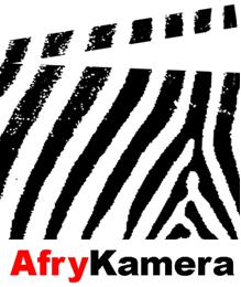 AfryKamera, Festival des films africains