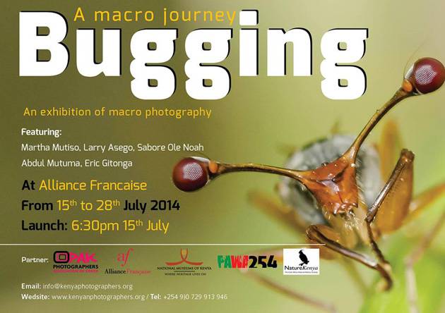 Exhibition: Budding a Macro Journey by Larry Asego,
