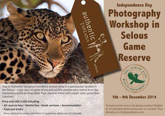 Photography Workshop in Selous Game Reserve