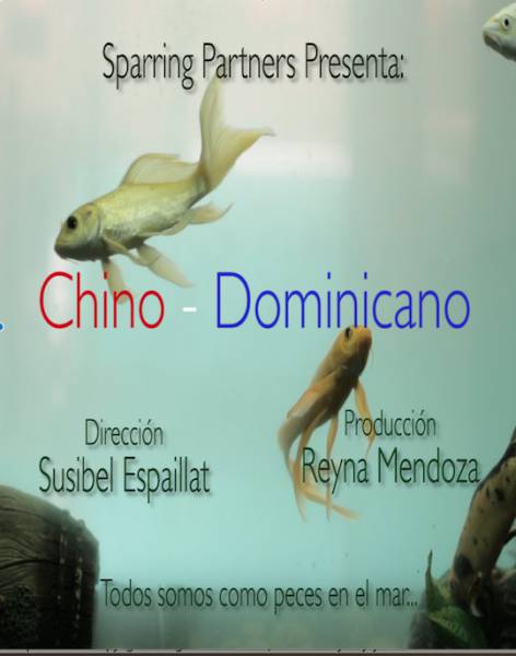 Chino – Dominicano