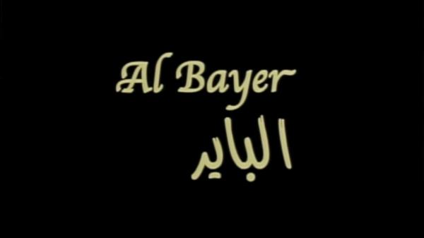 Al Bayer