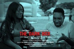 Dark Box (The)