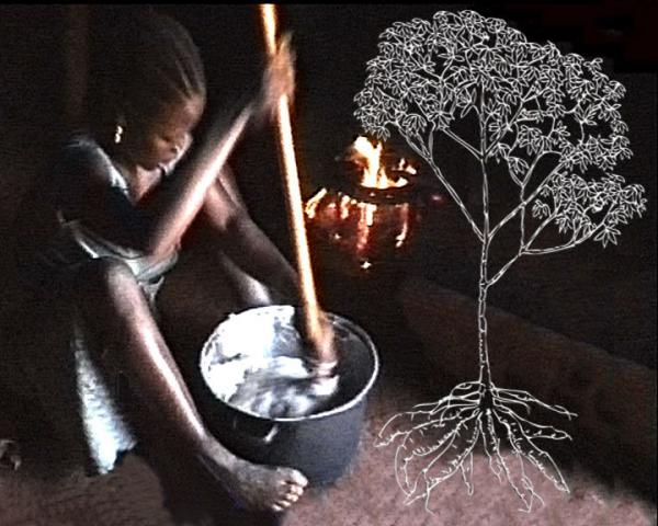 Manioc en pays gbaya (Le)