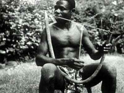 Ngbaka Musical Bow (The)