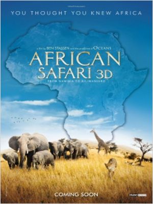 African Safari 3 D