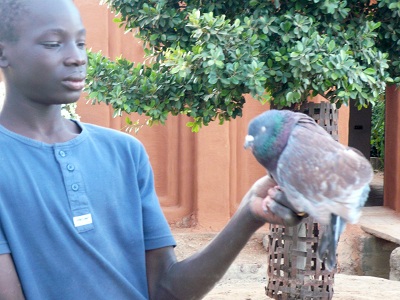 Moussa de Sgou Koura et son pigeon... Moussa le photographe de l atelier du fleuve/ Sgou Koura/ janvier 2009.