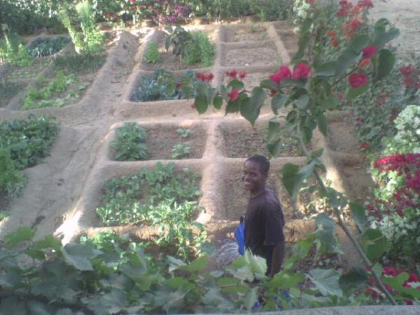 Samba Bamia/ Peintre jardinier maon de Bajidala