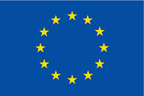 The European Commission appoints a Follow-Up Committee for [...]