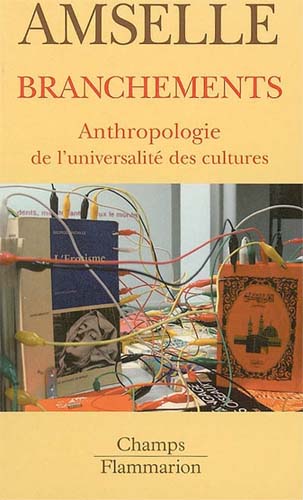 Branchements, anthropologie de l'universalité des cultures